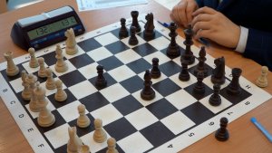 ПОДДЕРЖКА ШАХМАТИСТОВ