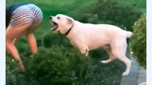 Подборка Самых Смешных Неудач