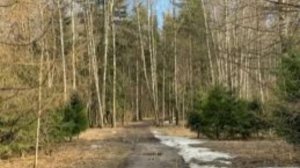 11 апреля - Берещенье. Народные традиции и приметы