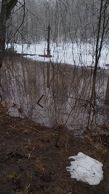 Руна Кано ﹤ , Руна Иса ||