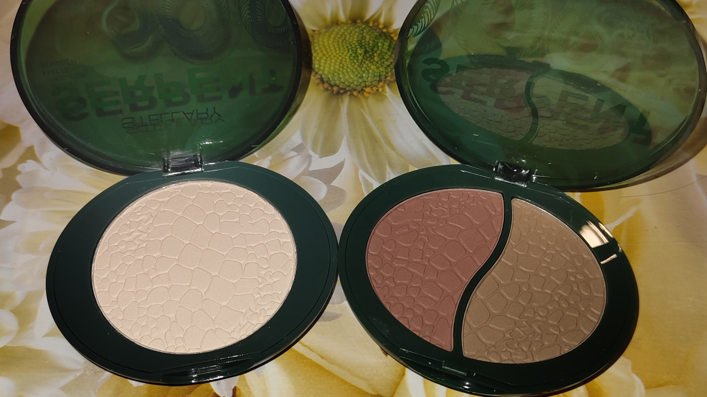 Stellary/Vivienne Sabo/Kaka Show🔥🔥🔥