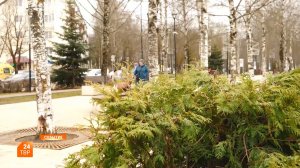 Прогноз погоды