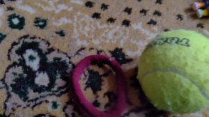 таинственый штаб 
1 сезон 8 серия 
"Спустя год тренировки"