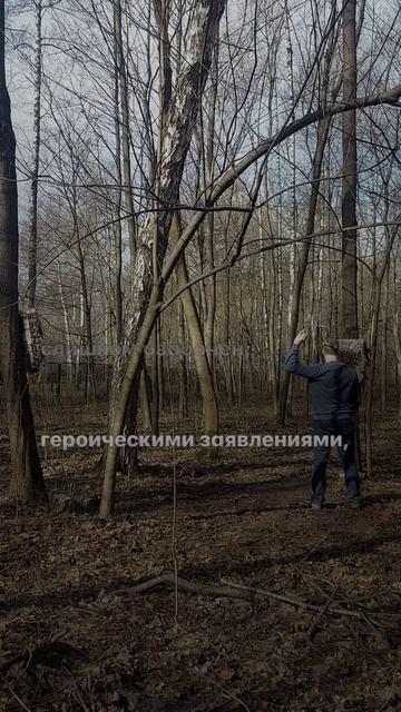 1038 466    (Вентури 008)
По мнению Роберта Вентури многие из величайших зданий в мире
были одноврем