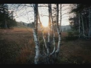 11 апреля - Берещенье. Народные традиции и приметы