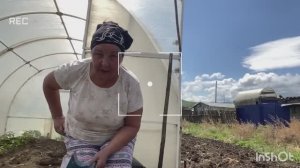 Лишь бы не сидеть сложа руки