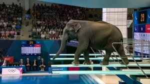 Мультики для детей. Яркие Мультики. Детские мультики смотреть