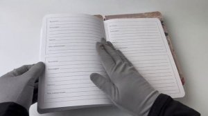 Дневник искусствоведа