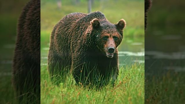 Welcome to Russia #pov #russia #fyp