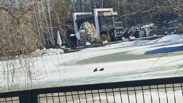 Посиделки в зоопарке.