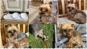 Знакомьтесь, наш новый член семьи - Пряник🫶🏻Его непростая история жизни, покупки для малыша☺️