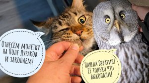 Трогаем сову Кофи за щёчки! Нам сокровищ привезли и снегу насыпали!