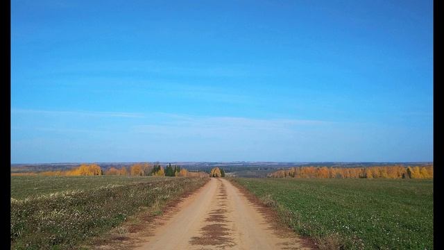 И. Бунин. Осень листья тёмной краской метит...