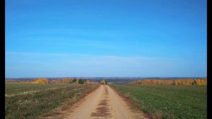 И. Бунин. Осень листья тёмной краской метит...