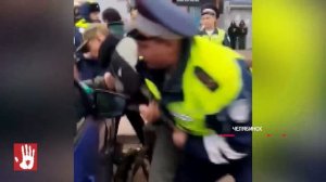 Семейной парочке, которая собрала вокруг себя 20 экипажей ДПС, назначили наказание