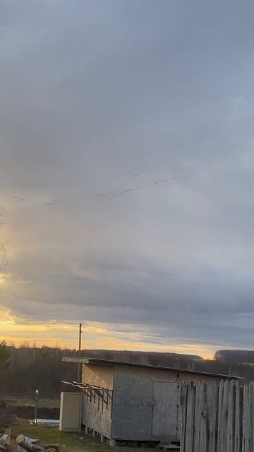 Гуси летят!!!