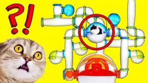 КисКис: Дом мечты для хомяка! Что внутри? 🏡✨