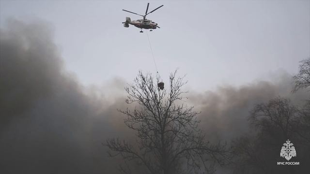 Памяти Ильи Белецкого и пятилетию со дня пожара в здании 