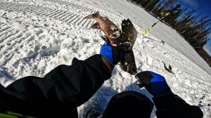 Незапланированная рыбалка | Хариус