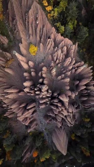 На склонах горы Ренон, в самом сердце итальянского Южного Тироля