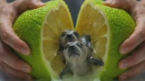 ASMR | ИИ - АНИМАЦИЯ | БЕЗУМНО ПРИЯТНОЕ ВИДЕО | АСМР | ЗАЛИПАЛКИ