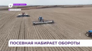 Посевная кампания в Приморском крае набирает обороты