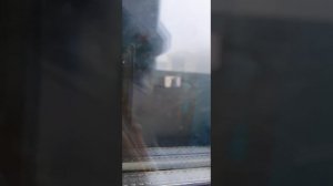 Дрим плймал камеромэна