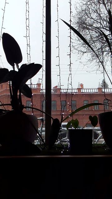 10-04-2026 вид из кафе Пан пицца