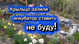 Крыльцо залили . Инкубатор ставить не буду.