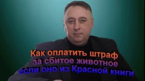 Как оплатить штраф за сбитое животное если оно из Красной книги