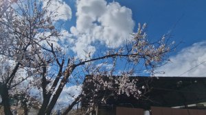 Никогда не окупится . Сколько намотал электроэнергии