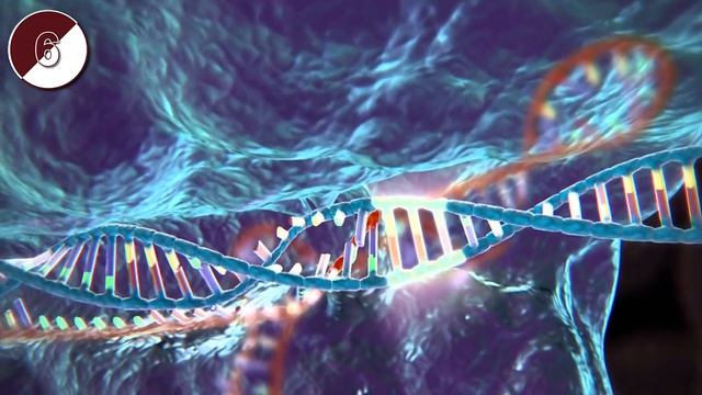 10 НАНОТЕХНОЛОГИЙ БУДУЩЕГО. Технологии будущего (1)