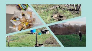 Саженцы посадила// Убрала цветники у дома// Приманка для фазана//