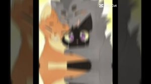 Коты-воители