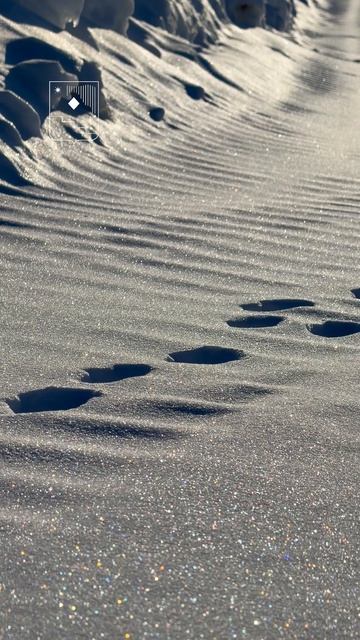 🌞 Скоро эта красота растает 🫠#крякаемоприроде #ИИпоетСедуюночь