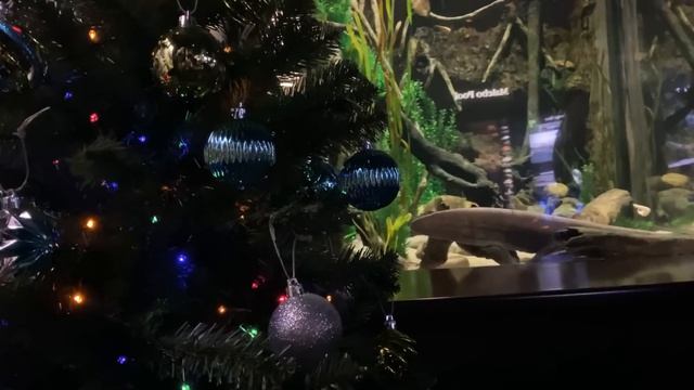 ТЫ БЫ НИКОГДА ТАКОЕ НЕ ЗАГУГЛИЛ #17