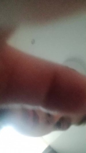 Слово Полянский