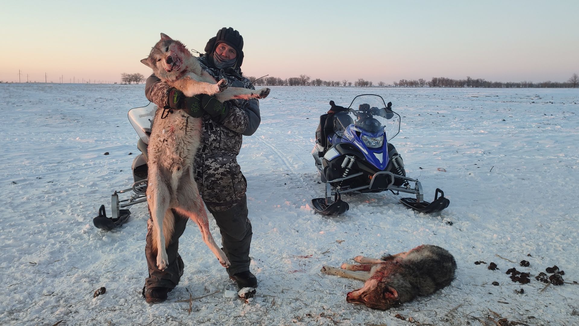 ОХОТА НА ВОЛКОВ! СЛОЖНО БЫЛО ВЫГНАТЬ ВОЛКОВ В СТЕПЬ,НО У НАС ПОЛУЧИЛОСЬ