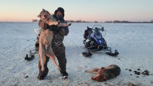 ОХОТА НА ВОЛКОВ! СЛОЖНО БЫЛО ВЫГНАТЬ ВОЛКОВ В СТЕПЬ,НО У НАС ПОЛУЧИЛОСЬ