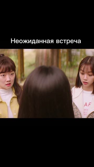 Мой сосед кумихо