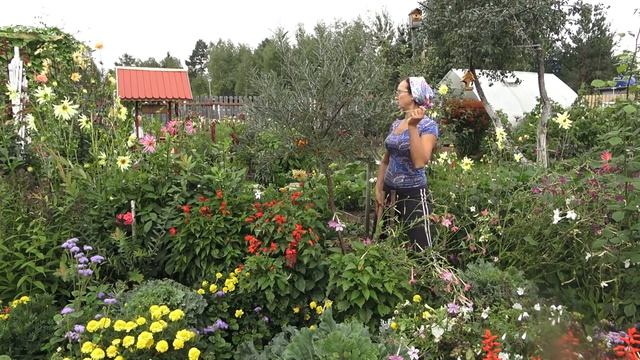 6 соток 27 августа 2021 год. Хроника