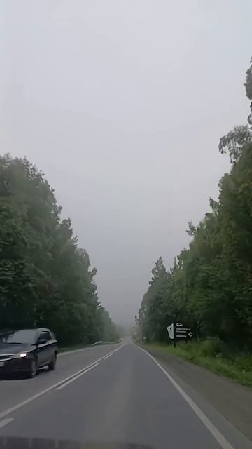 #сновавпуть#туманноеутро#этороссия#челябинскаяобласть#russia#урал#ural