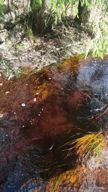 Весенний ручей