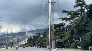 Ялта. Весенняя. Цветущая. Любимая. Городские зарисовки. 25.03.2026. Крым. Crimea. Yalta.