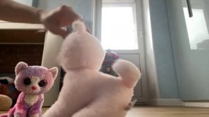 Капибара хостела разлучить двух подруг но у неё нечего не получилось!😱