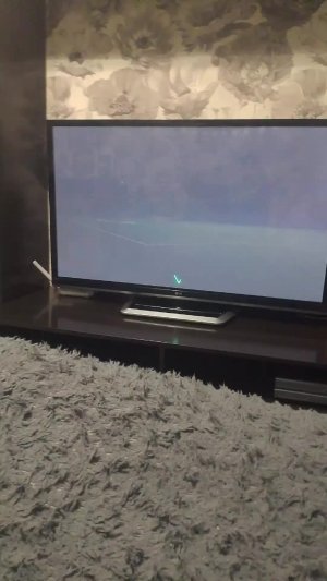 играю в фифу24