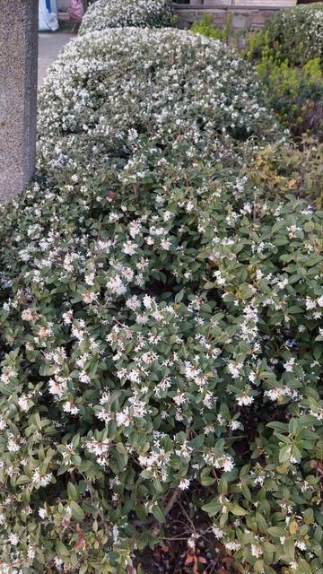 Я вам дарю частичку счастья💕🔥