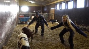 Story A messy, emotional but WONDERFUL day