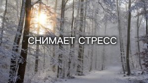18. Успокаивает нервную систему 🌿 музыка для отдыха