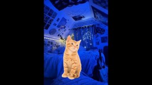 Вот вам прода, делала ночью...